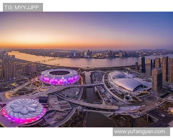 杭州乒乓球队的节奏与魅力探秘：从训练到比赛的全景观察